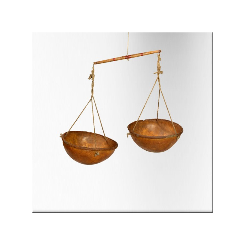 Two-plate scale in camel skin