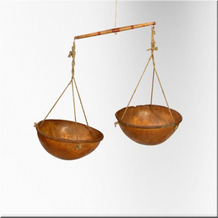 Two-plate scale in camel skin