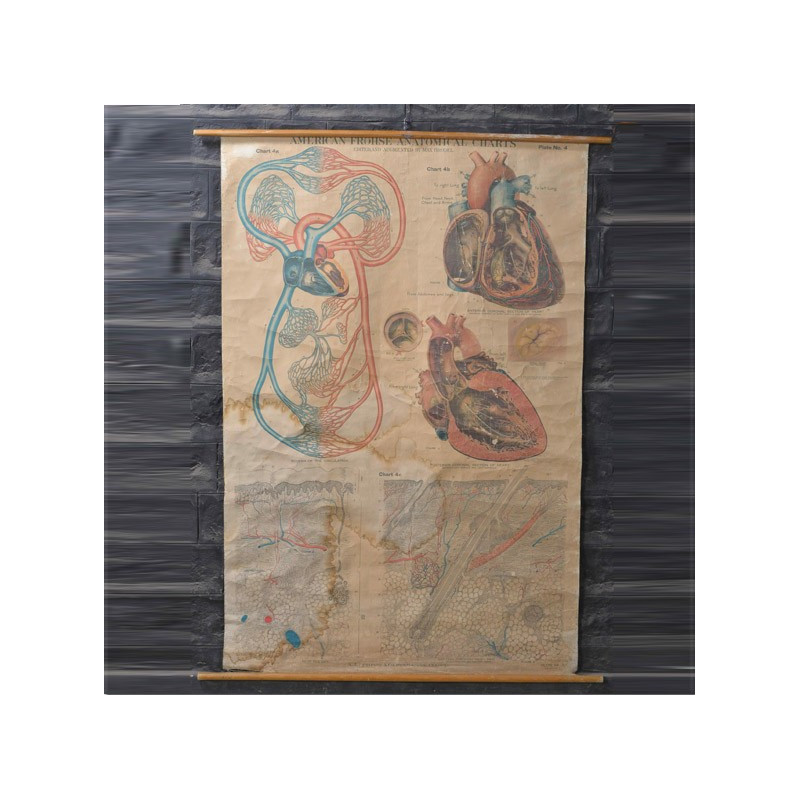 Medical engraving (various models)