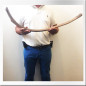 Mammoth rib