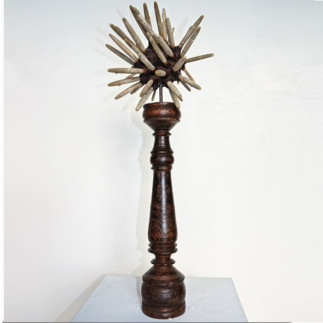 Pencil sea urchin on wooden stand