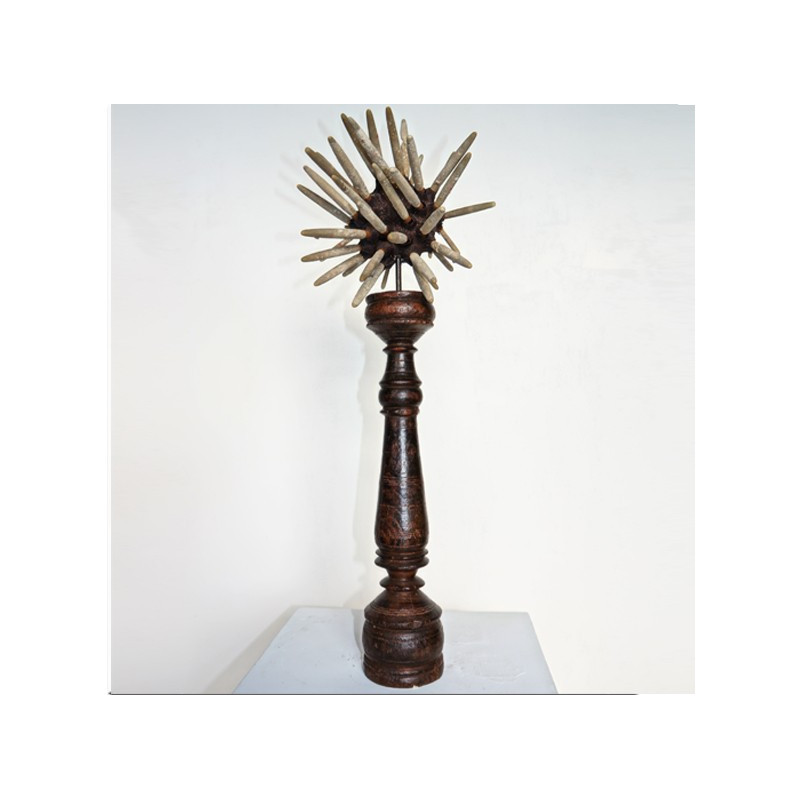 Pencil sea urchin on wooden stand