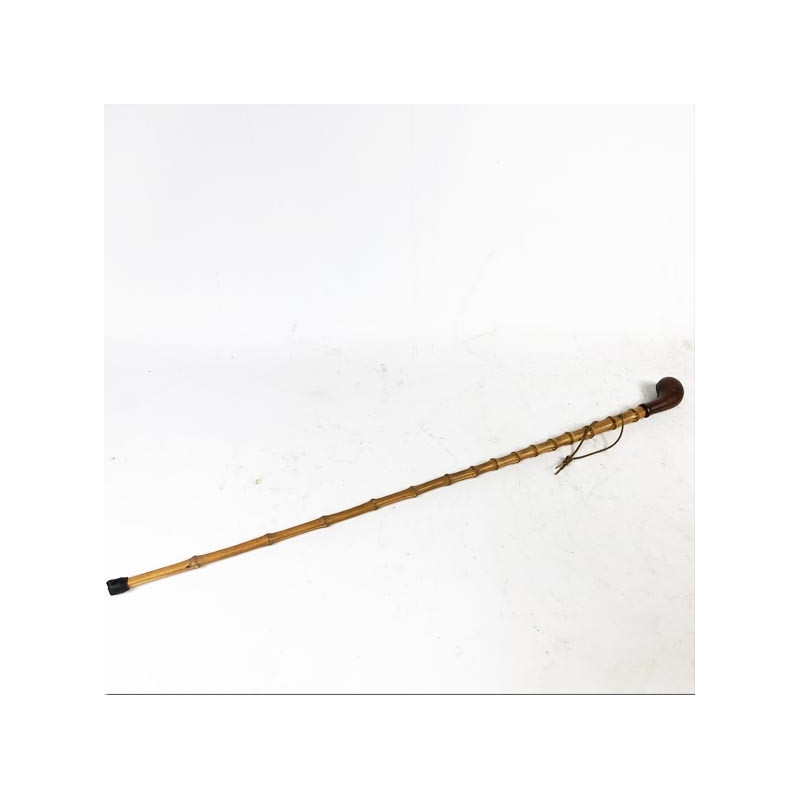 Cane Popular Art