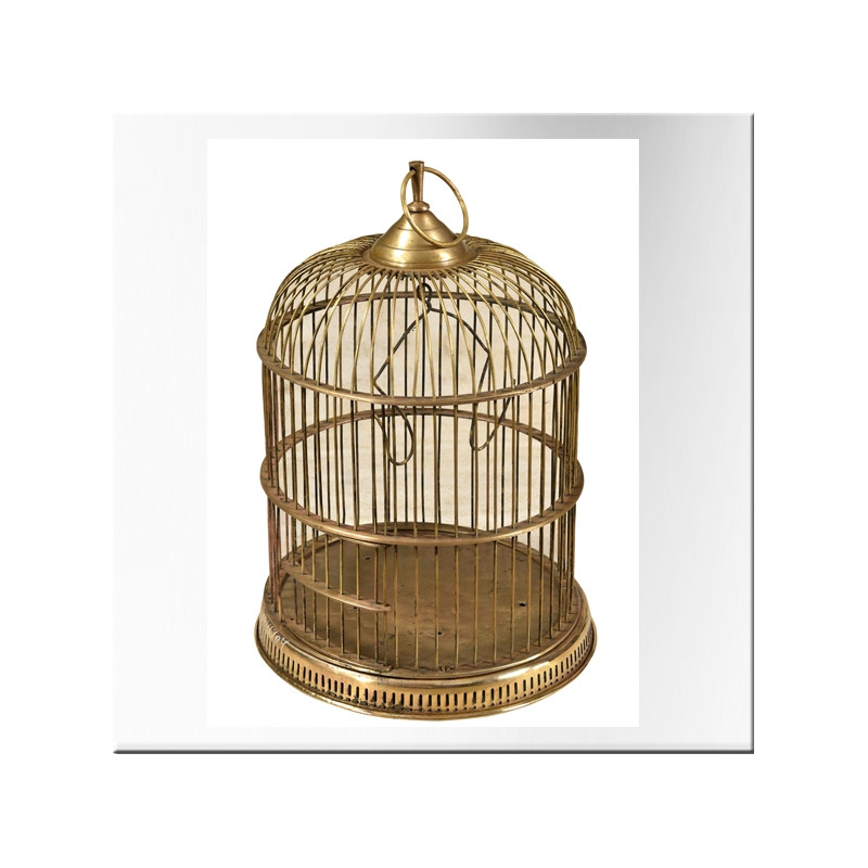 Brass bird cage