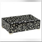 Coffret en bois et os de chameau