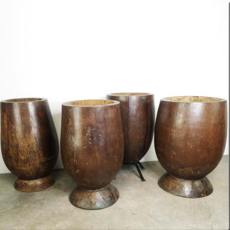 Tronc de palmier creusé