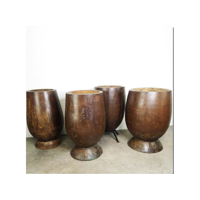 Tronc de palmier creusé
