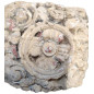 Stone wall panel with floral ornament 17th century