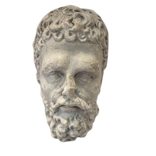 Tête d'homme barbu en marbre de Carrare XVIème siècle