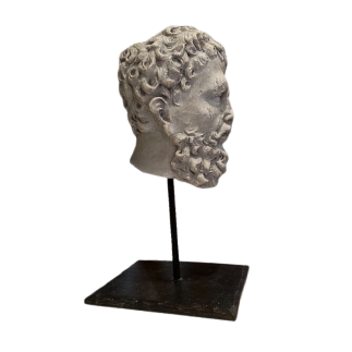 Bearded head of a man in Carrara marble 16th century