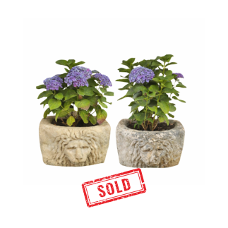 Pair of carved stone basins End of 17th century beginning of 18th Century