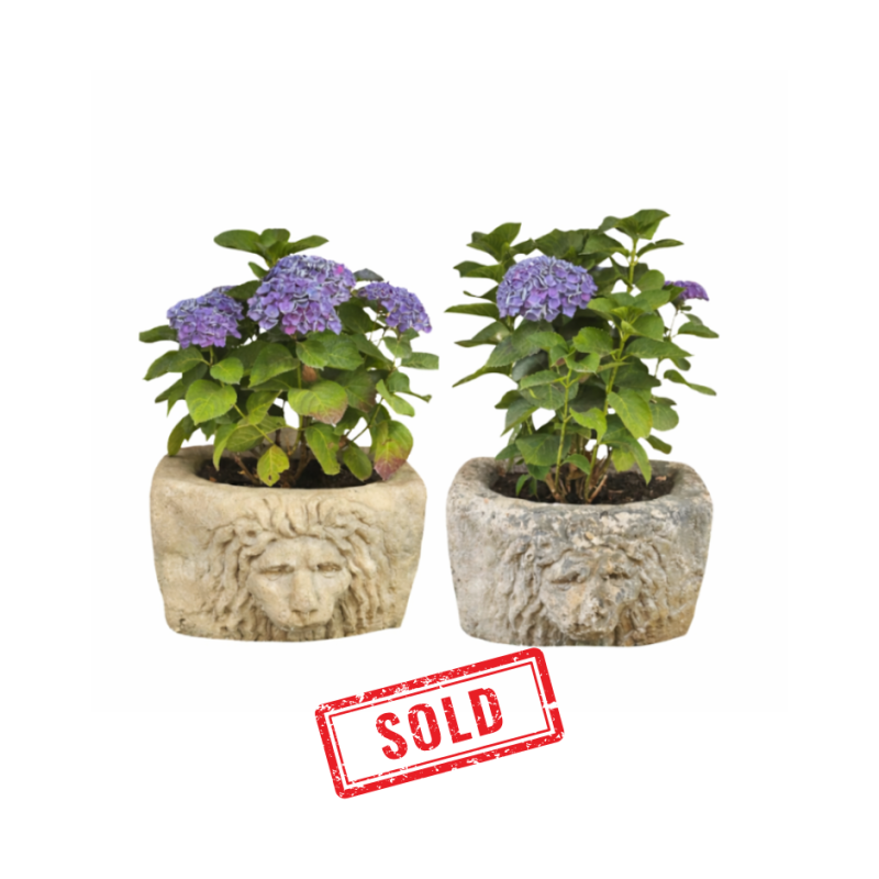 Pair of carved stone basins End of 17th century beginning of 18th Century Pair of carved stone basins End of 17th century beginning of 18th Century