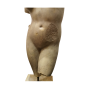 Female Torso in White Marble. 18th Century, or earlier.