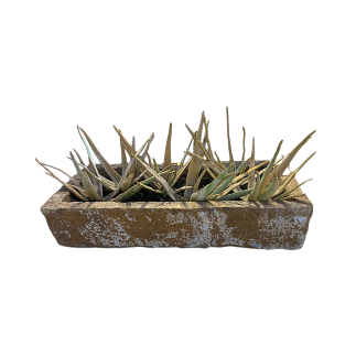 Bassin en marbre de Jaisalmer Inde XVIème siècle