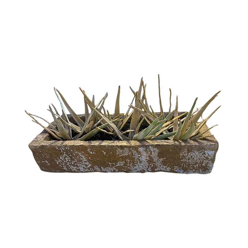 Bassin en marbre de Jaisalmer Inde XVIème siècle