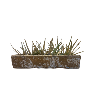 Bassin en marbre de Jaisalmer Inde XVIème siècle