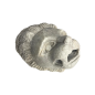 Bouche de fontaine en marbre blanc de Carrare, à décor d’une tête de lion. XVIII ème siècle.