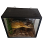 Pike head naturalized in diorama