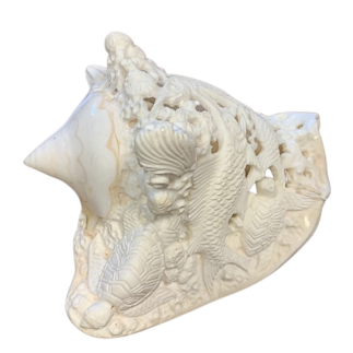 Carved shell Strombus Costatus
