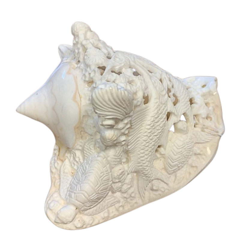 Carved shell Strombus Costatus