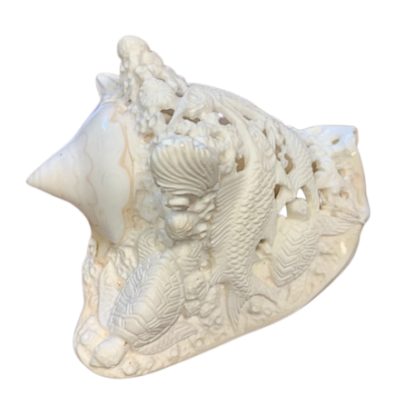 Coquillage sculpté Strombus Costatus