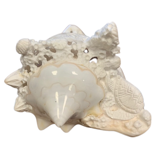 Carved shell Strombus Costatus