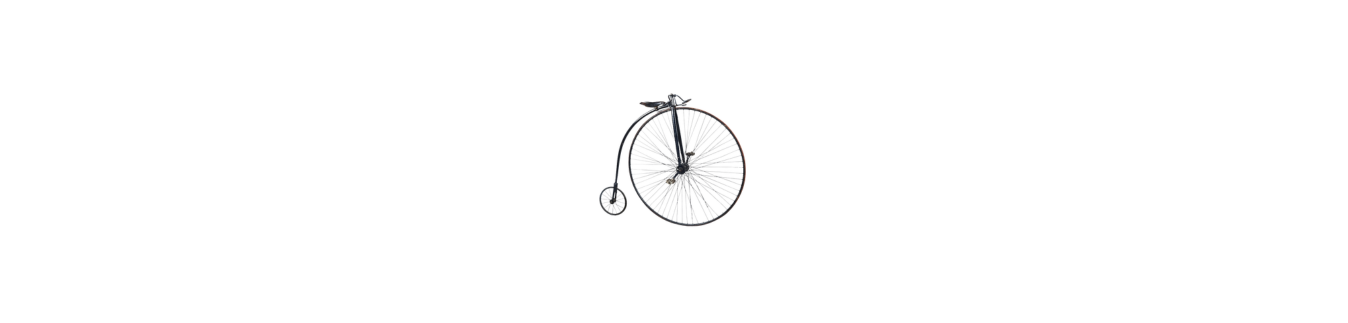 OBJETS DE CURIOSITES